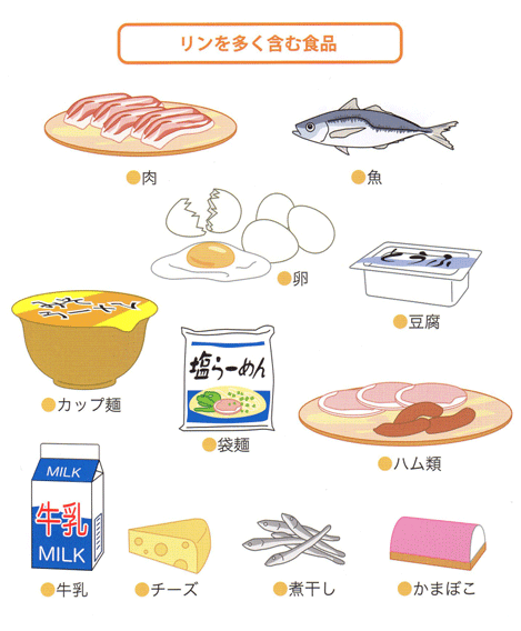 リンを多く含む食品